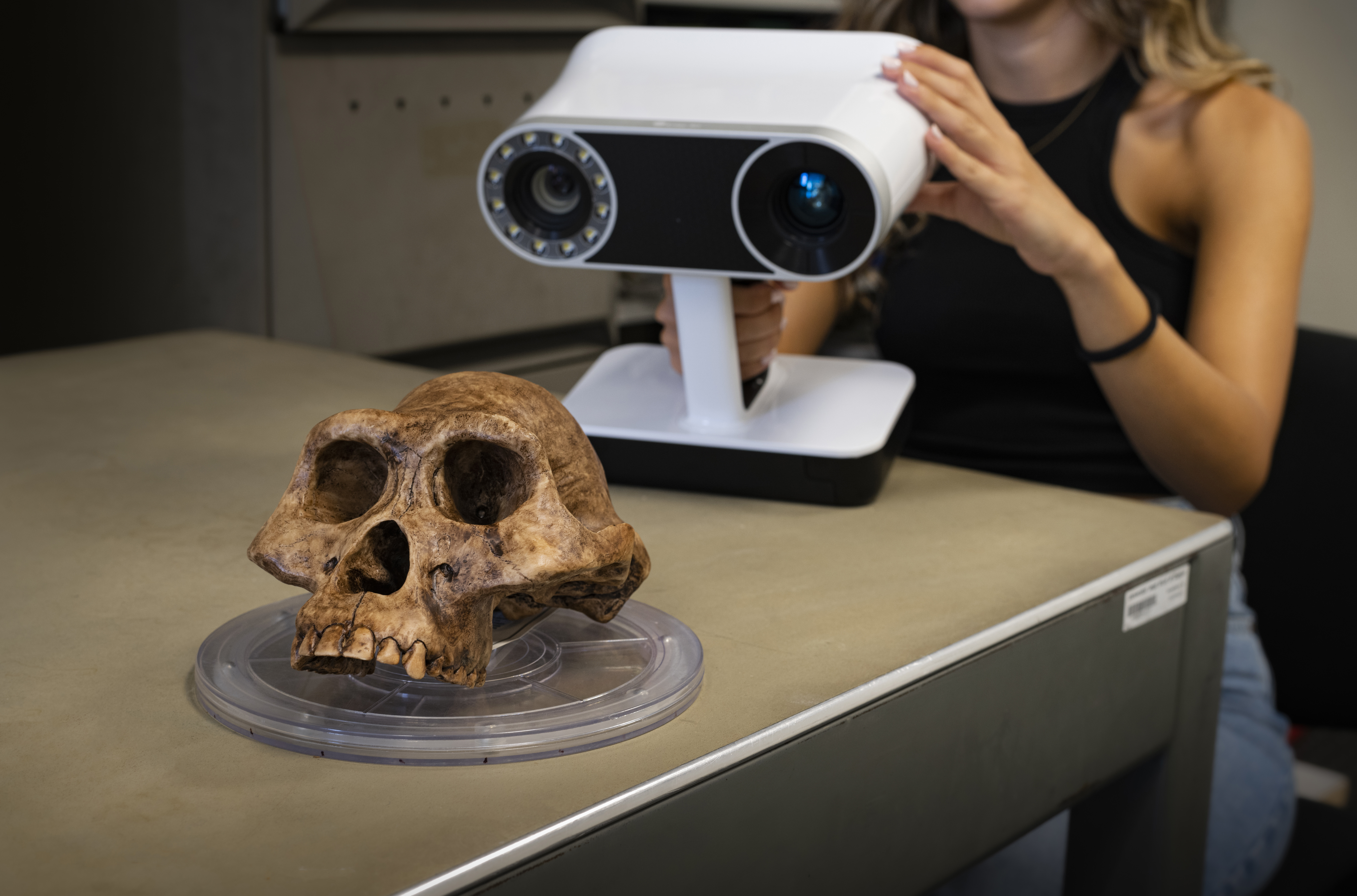 Digitaliz3D: i modelli 3D come metodo per preservare, studiare e comunicare